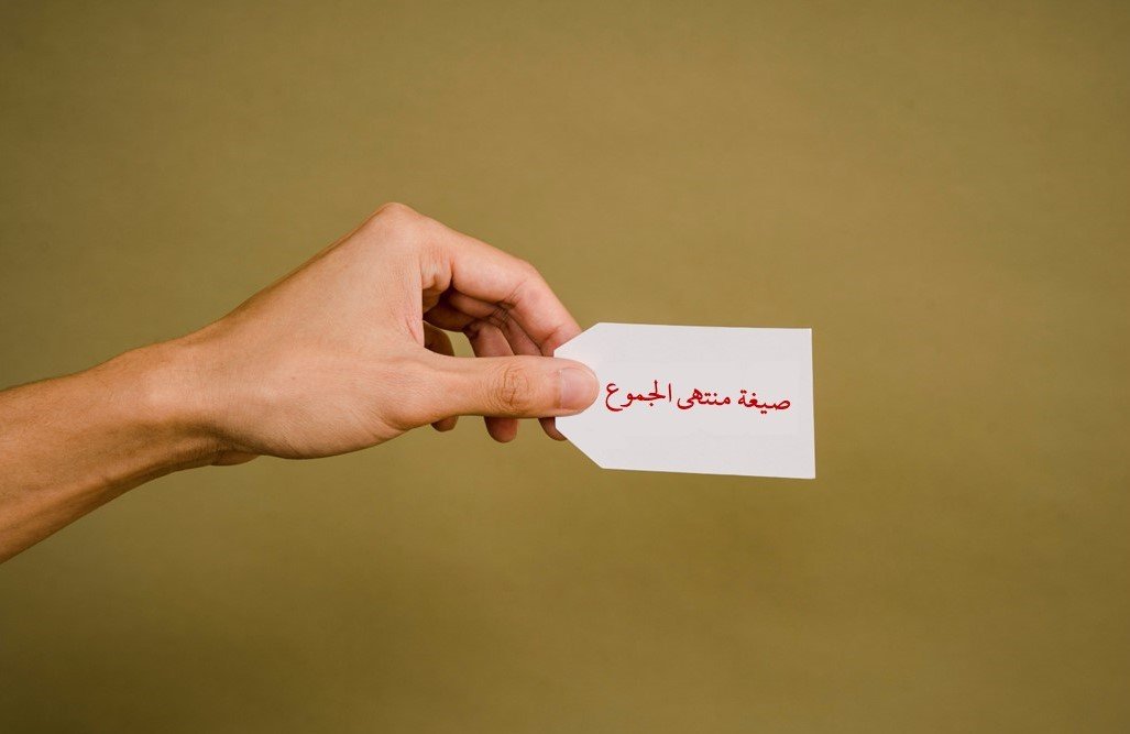 Ilmu Nahu | Sighah Muntaha al-Jumu’